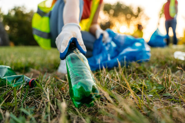 Best Yard Cleanup Services  in Rome, IL