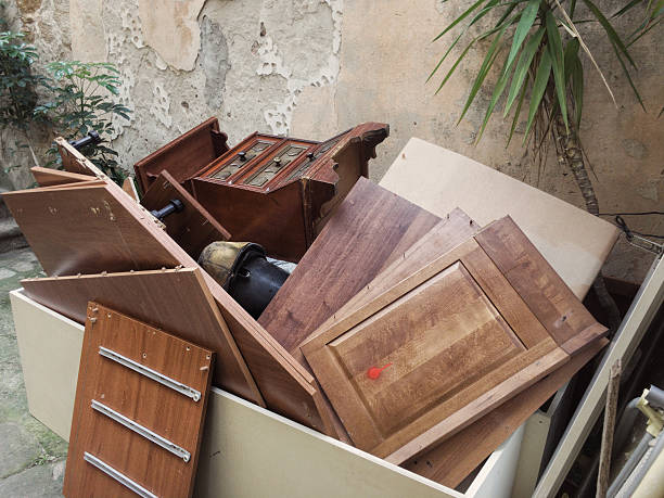 Yard Cleanup Services in Rome, IL
